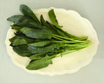 Load image into Gallery viewer, Ovalt fad fra Nicola Fasano Mariposa creme 44 cm
