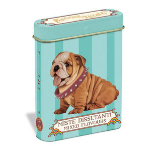 Pastilles tin CUTE PUPPIES MIXED FLAVOURS - 15 gr.