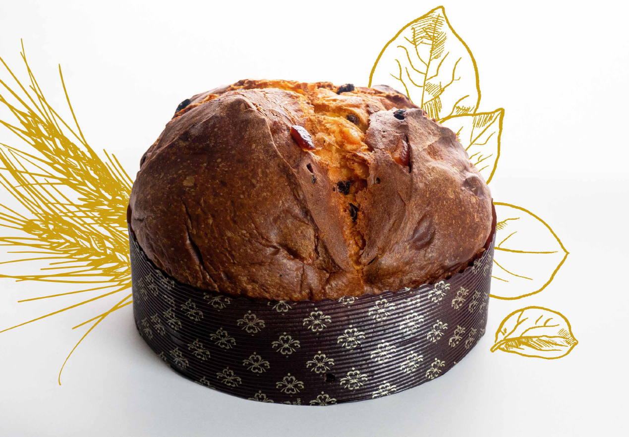 Håndlavet panettone med chokolade box - 750 gr.